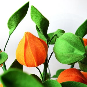 Physalis, 7 twigs, Gooseberry, Groundcherries, Greenery, Felt Flowers, Handmade Felt Flower, Felt kit, Orange bouquet image 4