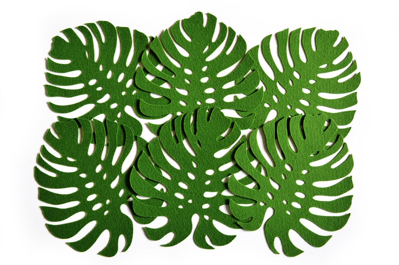 Large Coasters Set of 6 Monstera's leaves, Tropical decor, Botanical decor, Felt, Housewarming Gift image 1
