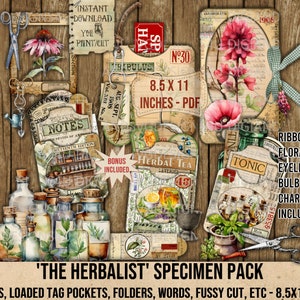 Herboriste, spécimen, pochettes pour étiquettes chargées, lames, étiquettes, notes de terrain, étiquettes, botanique, noms d'herbes, éphémères, embellissement, journal, impression