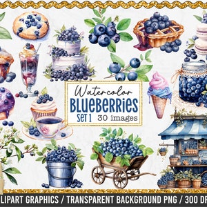 Watercolor Blueberries Clipart Bundle - 30 PNG Images, Blueberry Graphics, Blueberry PNG Images, Watercolor Clipart, Blueberry clipart, Set1