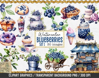 Watercolor Blueberries Clipart Bundle - 30 PNG Images, Blueberry Graphics, Blueberry PNG Images, Watercolor Clipart, Blueberry clipart, Set1