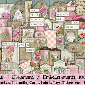 Protea, Fiori, Vintage, Sud Africa, Diario, Effimero, Abbellimento, Stampabile, Buste, Carte, Tag, Etichette, Scrapbook, Decoupage