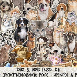 Coupe soignée, chats, chaton, minou, chiens, chiot, chat, chien, animaux de compagnie, impression, documents éphémères, scrapbooking, journal indésirable, kit, cartes, étiquette, découpage, papier