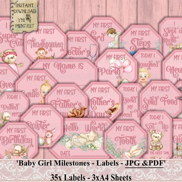 Baby Girl, Milestones, Baby Firsts, Labels, Junk Journal, Baby, Teddy Bear, Pink, Flowers, Daily Planner, Scrapbook, Collage Sheet