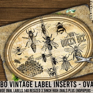 Puede incluir: Insertos de etiquetas ovaladas vintage con temática de abejas. El diseño presenta un panal, abejas y el texto "Queen Bee". Las etiquetas tienen 10,5 pulgadas de ancho y 3,5 pulgadas de alto.
