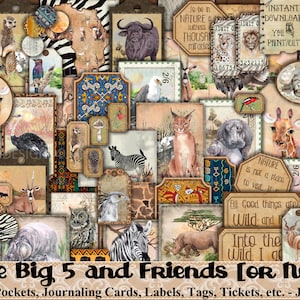 Big 5 and Friends, Big Five, Éphémère, Afrique du Sud, Afrique, Sauvage, Animal, Éléphant, Lion, Léopard, Rhinocéros, Buffle, Oiseaux, Journal, Imprimé
