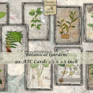 Botanical, ATC Cards, Junk Journal, Vintage, Grunge, Printable, Journal Cards, Ephemera, Flora, Botany, Garden, Paper, Scrapbook