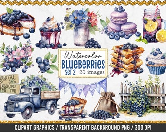 Watercolor Blueberries Clipart Bundle - 30 PNG Images, Blueberry Graphics, Blueberry PNG Images, Watercolor Clipart, Blueberry clipart, Set2
