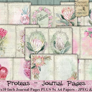 Protea, Flores, Vintage, Sudáfrica, Junk Journal, Papel, Rosa, Imprimible, Hoja de collage, Álbum de recortes, Decoupage, DigiAndSVGDesigns4U