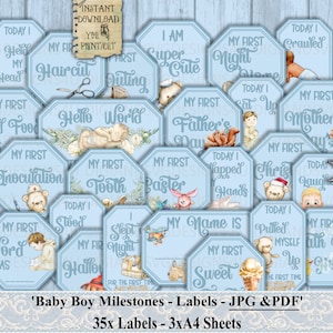 Baby Boy, Mijlpalen, Primeurs, Labels, Junk Journal, Baby, Teddybeer, Blauw, Bloemen, Daily Planner, Scrapbook, Collage Sheet, Afdrukbaar
