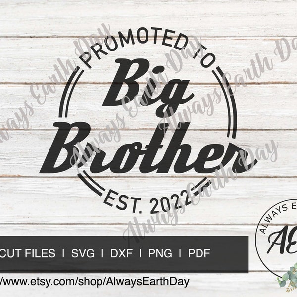 Promoted to Big Brother est 2022 svg, Big Brother svg, Big Brother Shirt svg, Baby Announcement, New Baby svg, Retro svg