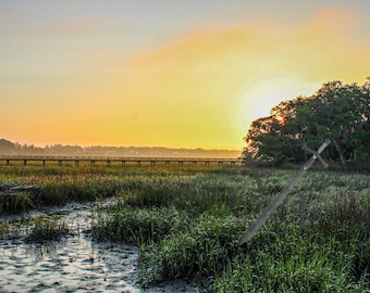 Morning Marsh en Mount Pleasant