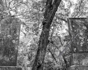 Primera Iglesia Bautista - Downtown Charleston