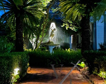 Fuente de noche - Downtown Charleston