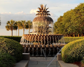 Pineapple Fountain Morning - Centro de Charleston