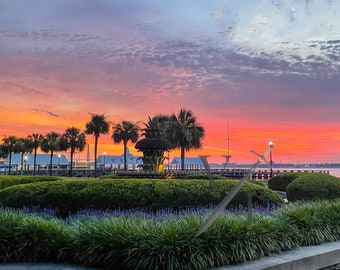 Morning Fire Sky - Centro de Charleston