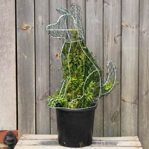 May include: A dog-shaped topiary frame made of green wire mesh and white metal, filled with green foliage, in a black plastic pot. The garden ornament is set against a wooden fence, a charming outdoor feature.