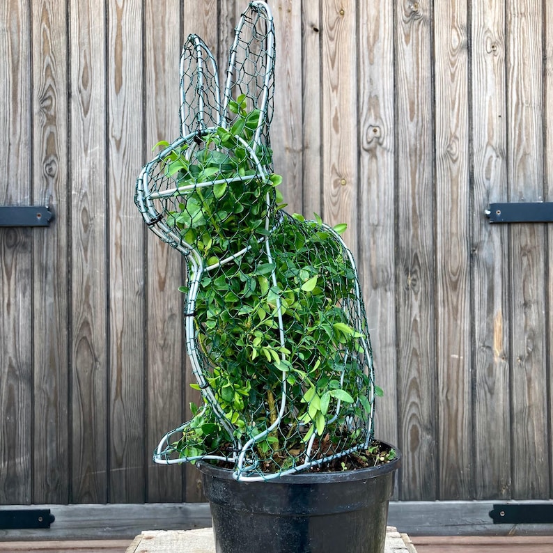Handmade Topiary Rabbit Frame for Plants Perfect for the Budding Gardener Etsy