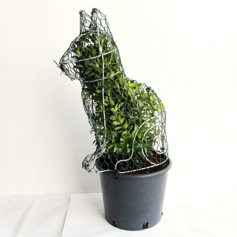 Handmade Topiary Cat Frame for Plants Perfect for the Etsy