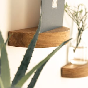 Floating small semi-circular shelf, wall plant holder, hanging basket oak wood shelf wall shelf