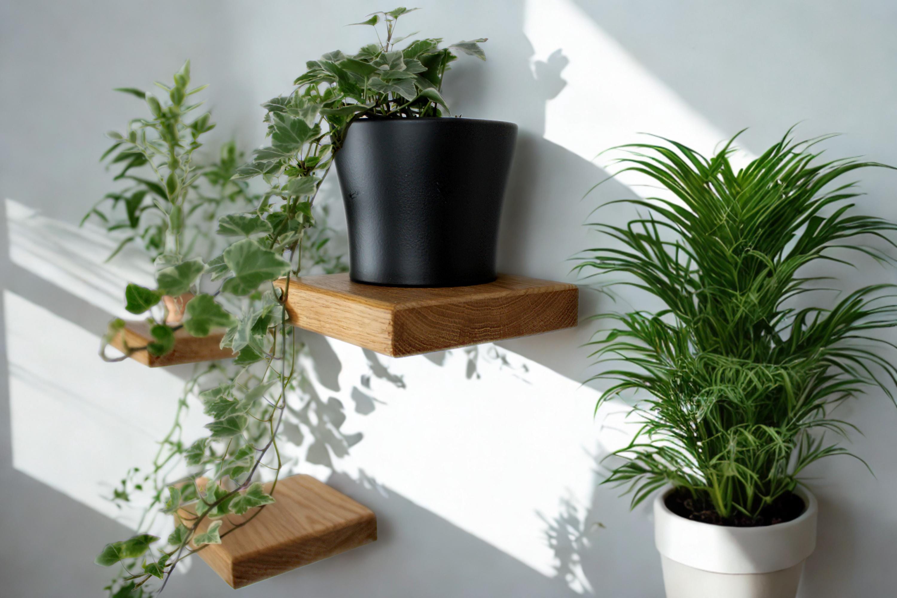 Acquista Supporto Per Piante Regolabile, Supporti Per Piante Da Interno In Bambù, Supporto Per Fiori Ad Angolo Per Soggiorno, Adatto A Vasi Da 19 Cm A 27 Cm In Italia A Partire