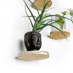 Floating round shelf, birch wall plant holder, hanging flower basket wall shelf