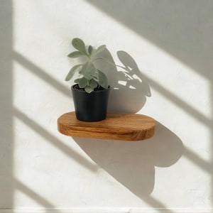 OVALO zwevende plank, wandplantenhouder, hangende bloemenmand, eikenhouten plank