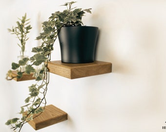 Floating small wooden shelf, wall plant holder, hanging basket