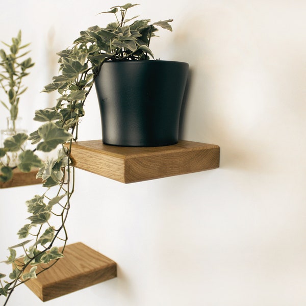 Zwevend klein houten plankje, plantenhouder aan de muur, hangende mand