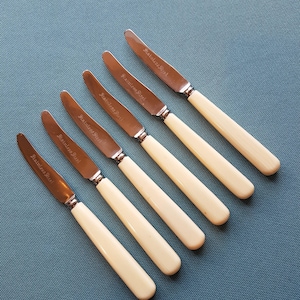 Vintage Afternoon Tea Cutlery-  Short Stainless Steel  Blades  with Faux Bone Handles 14cms long
