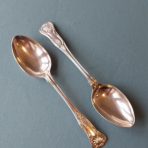 Op de afbeelding: Twee sierlijke zilveren lepels met gedetailleerde handvatten en ovale kommen. De lepels zijn diagonaal geplaatst tegen een gedempte teal achtergrond. De handvatten hebben een schelp- en bloemenmotief.