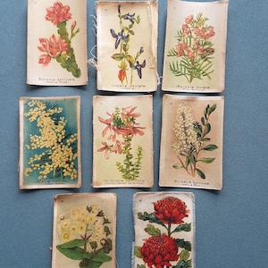 Acht Vintage Sammlerkarten aus Satinseide - australische Wildblumen 8 cm x 5,5 cm