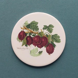May include: A round white coaster featuring a botanical illustration of gooseberries. The image shows a cluster of ripe, dark red gooseberries on a branch with green leaves. The text "Wilmot's Early Red" is printed on the coaster.