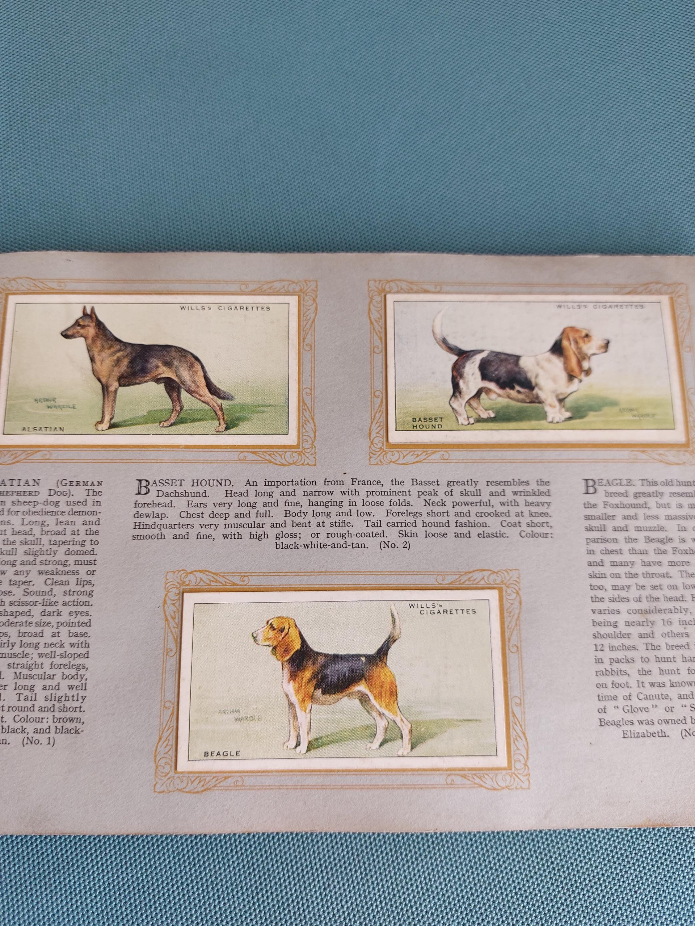 Vintage Album of Dogs - W.D.& H.O. Wills Dogs Cards- 50 Cards All Different  Breeds of Dog-cards 6.5x3.5cms
