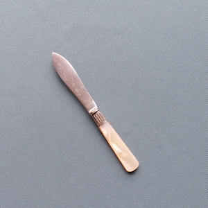 Può includere: Coltello da burro vintage con manico in madreperla e lama color argento. La lama presenta un motivo floreale decorativo. Il coltello è lungo circa 15 cm.