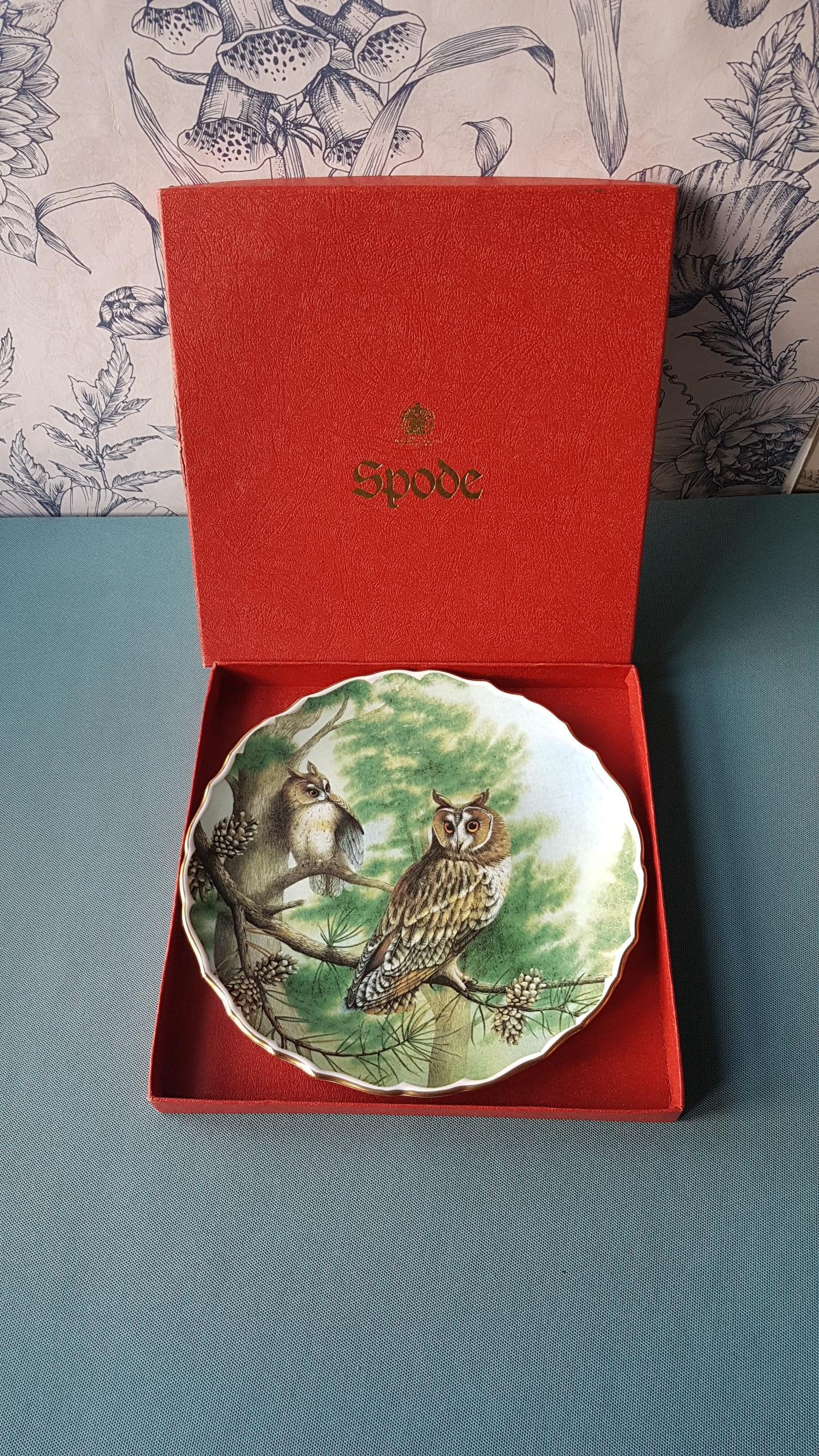 Vintage Spode Long Eared Owl Wall Plate-Fine Bone China made in England- Plate no.6 in British Owl s