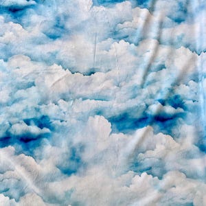 Cloudy Sky Minky Fleece Fabric: Soft Plush Polyester - By The Half Meter