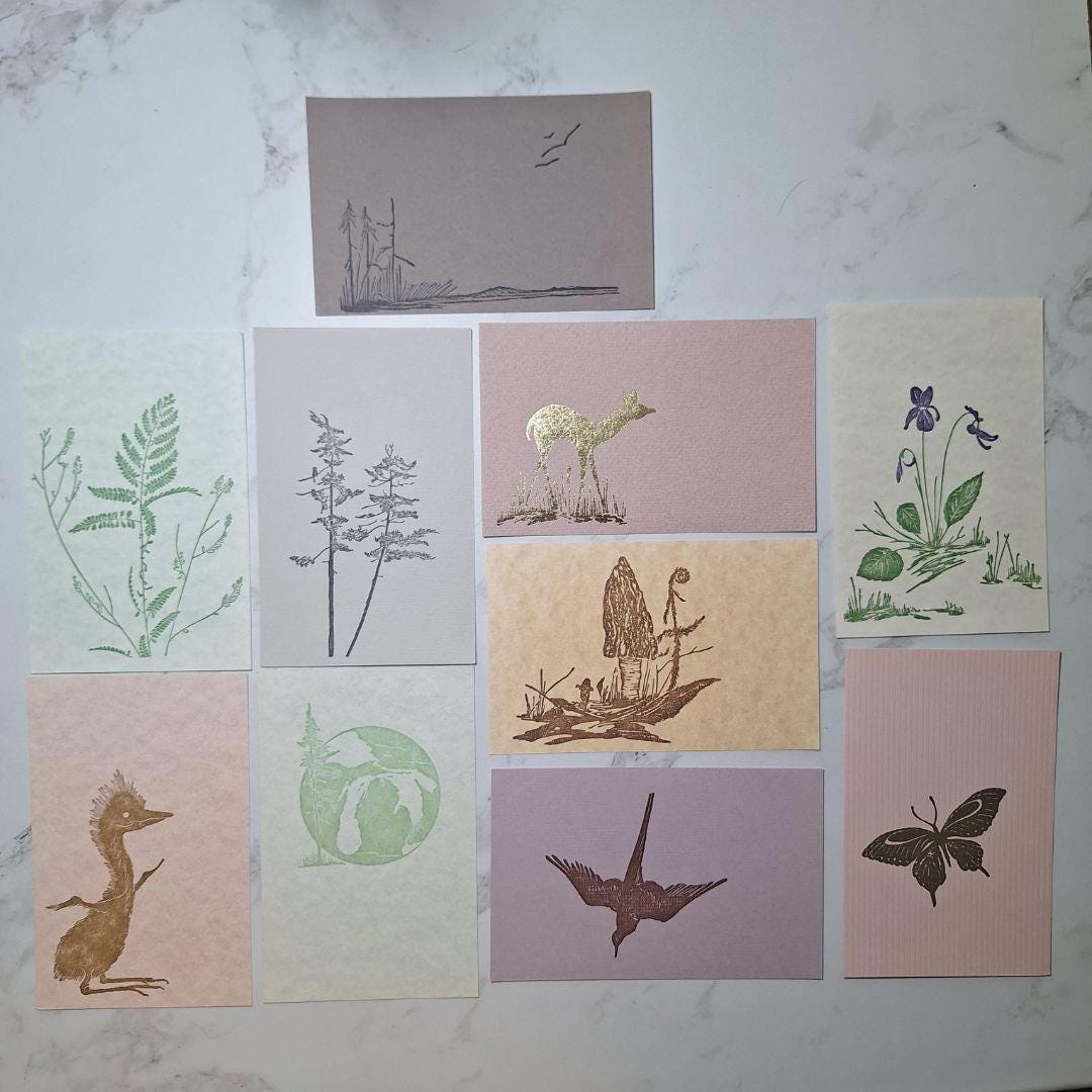 Sarah Gwen Frostic Postcard Block Prints Mini Vintage Nature