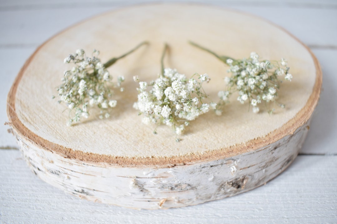 Gypsophila Hair Pins Bridal Hair Accessories Dried Flower Hair Etsy UK