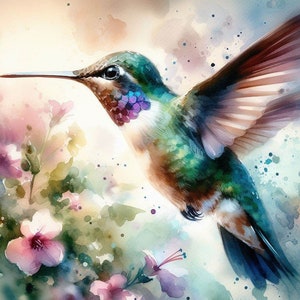 Op de afbeelding: Een aquarel schilderij van een kolibrie in vlucht met een groen en bruin lichaam, een iriserende paarse keel en een lange, dunne snavel. De kolibrie vliegt over een tros roze en paarse bloemen met groene bladeren.