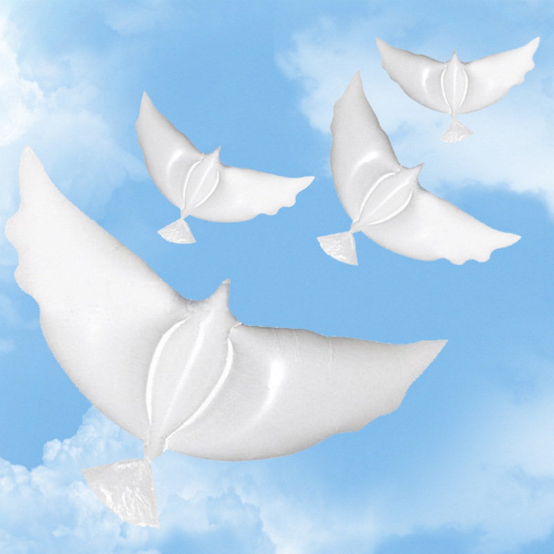 Dove Balloons Release In Sky White Memorial Pigeon Bird Etsy