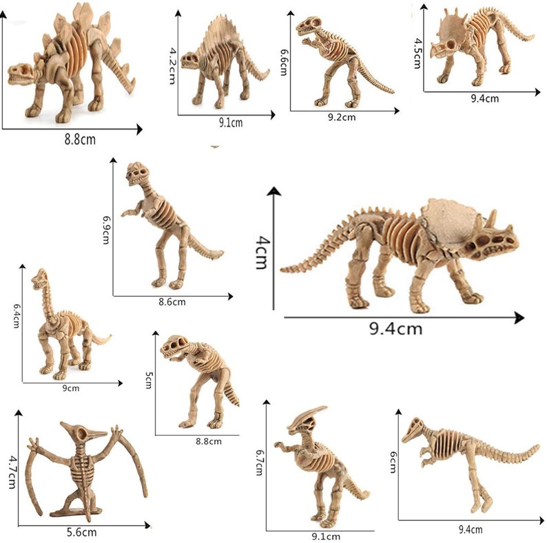 24pcs Dinosaur Fossil Skeletons Dino Lover Gift Idea Science Etsy