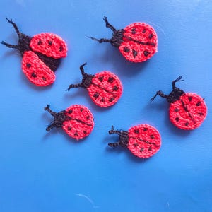 Pode incluir: Seis joaninhas de crochê vermelhas e pretas em um fundo azul.