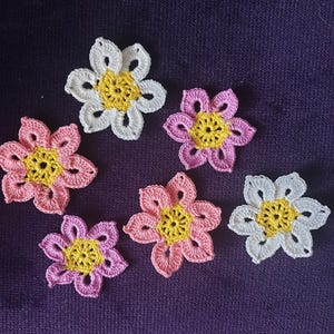 Flower Appliques: Cotton (Set of 6)