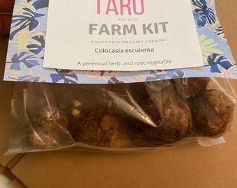 Taro Farm Kit, Kalo ‘Colocasia escuentla’ Elephant Ear vegetable planting kit. Araimo Type