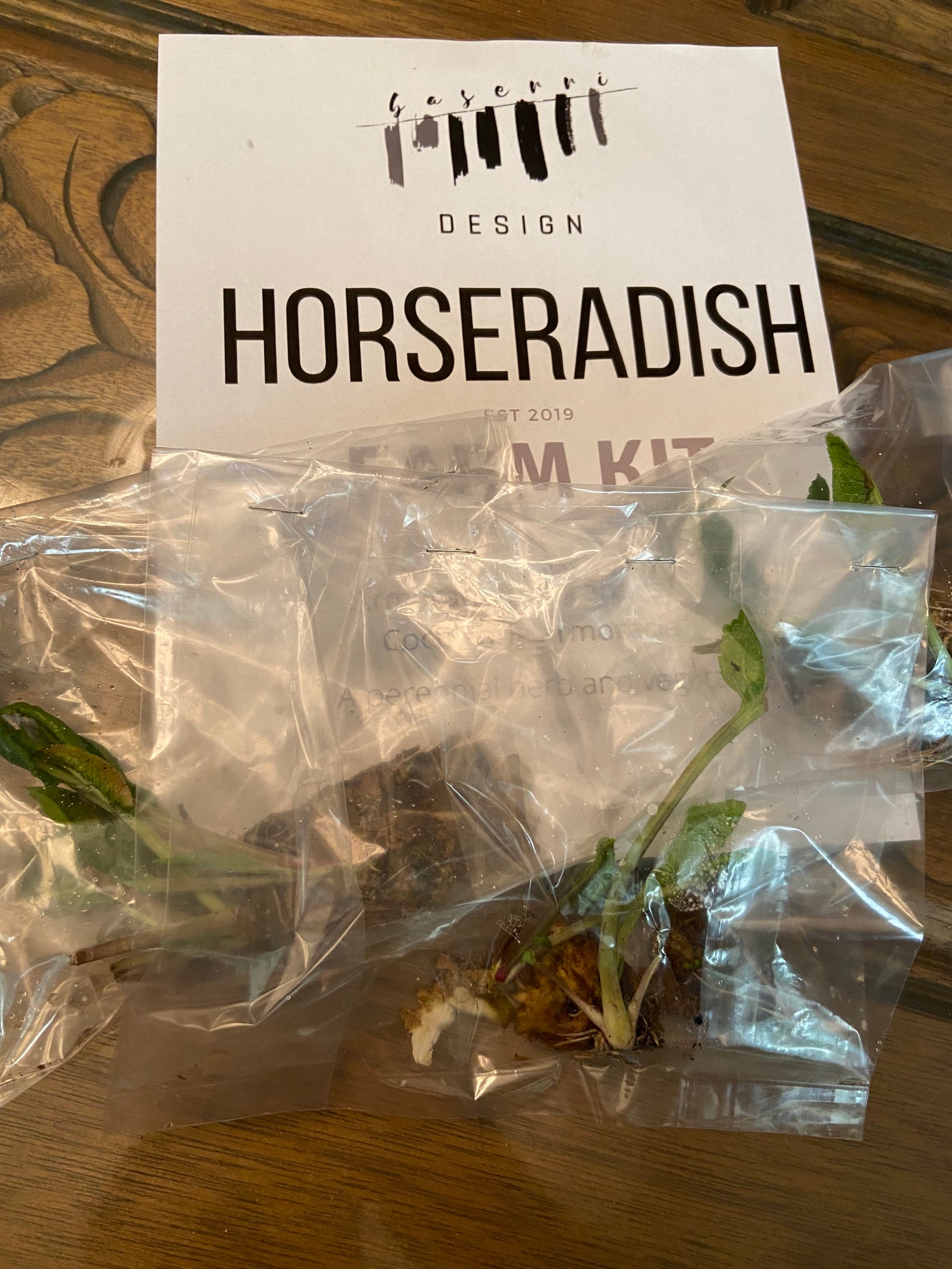 Organic Horseradish Farm Kit Perennial Herb Etsy