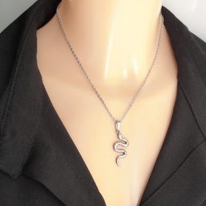 Könnte beinhalten: Eine silberfarbene Halskette mit einem Schlangenanhänger. Der Schlangenanhänger ist detailliert und hängt an einer filigranen Kette. Die Halskette wird vor einem schwarzen Hintergrund gezeigt.