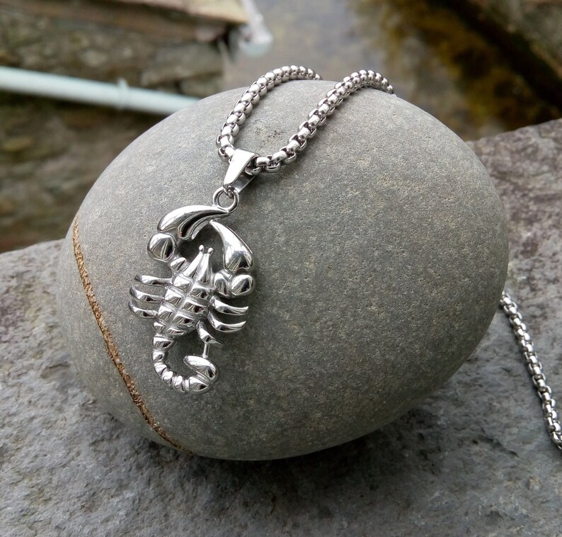 Scorpion Pendant Necklace Mens Scorpion Necklace Etsy