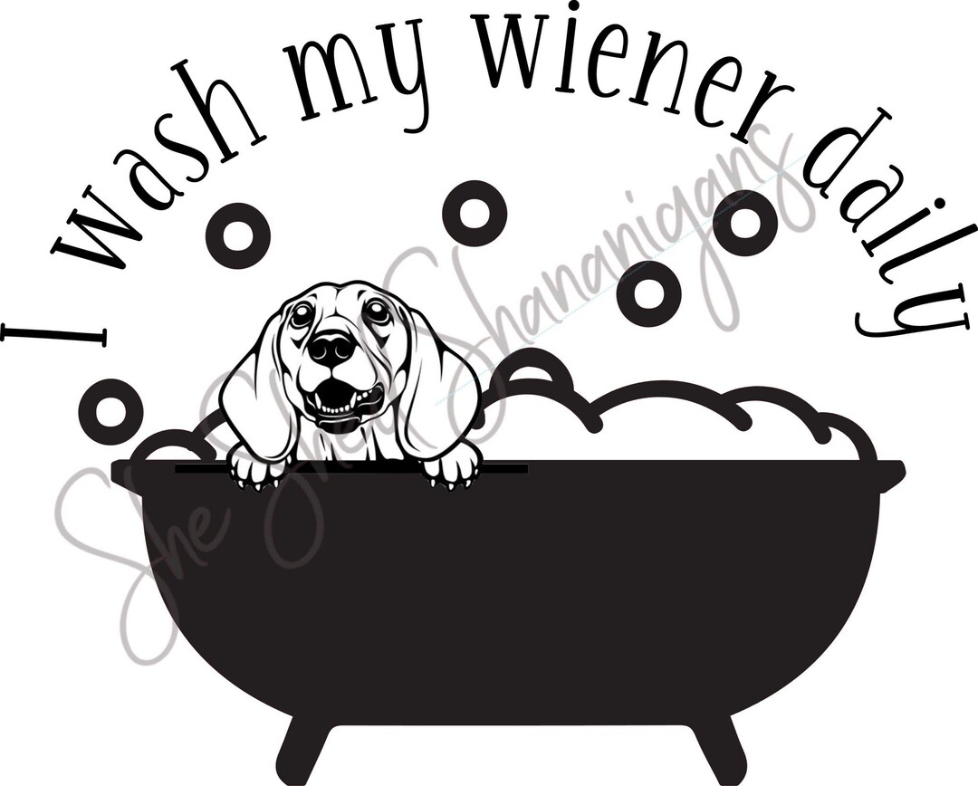 Can I Wash My Dog Every Day