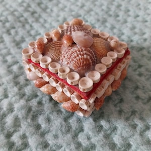 May include: A square decorative box decorated with seashells. The box has a red band and is embellished with small, round, white accents. The seashells are mainly tan and brown, creating a natural, coastal aesthetic.